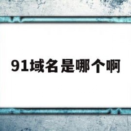 91域名是哪个啊(域名估价哪个网站准确)