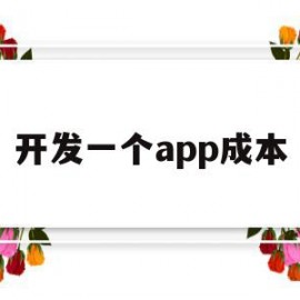 开发一个app成本(开发一个app的成本)