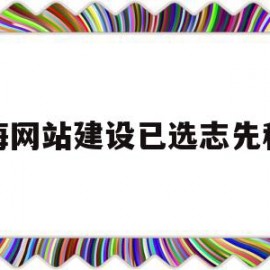 上海网站建设已选志先科技(上海志从建筑工程咨询有限公司)