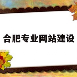 合肥专业网站建设(合肥网站建设方案开发)