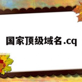 国家顶级域名.cq(国家顶级域名cn下的二级域名)