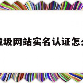 在垃圾网站实名认证怎么办(在垃圾网站实名认证怎么办啊)