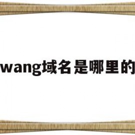 wang域名是哪里的(wang域名值得投资吗)