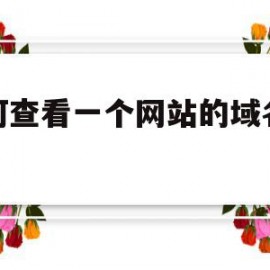 如何查看一个网站的域名解析(如何查看一个网站的域名解析信息)