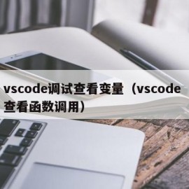 vscode调试查看变量（vscode 查看函数调用）