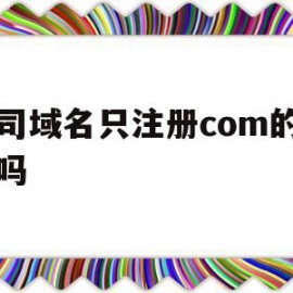 公司域名只注册com的可以吗(公司域名只注册com的可以吗安全吗)