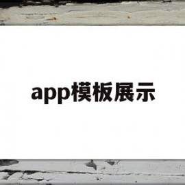 app模板展示(app模板制作软件)