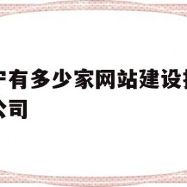 南宁有多少家网站建设推广的公司(南宁有多少家网站建设推广的公司啊)