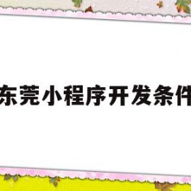 东莞小程序开发条件(东莞微信小程序开发公司报价)