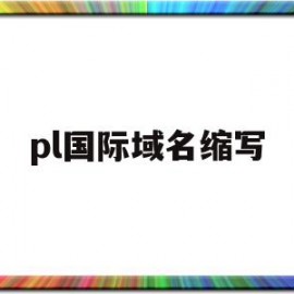 pl国际域名缩写(国际域名缩写是什么意思)