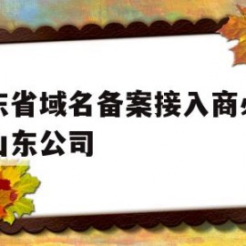 山东省域名备案接入商必须是山东公司(山东省域名备案需要多久)