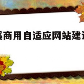 慈溪商用自适应网站建设价格的简单介绍