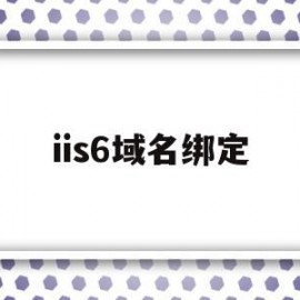 iis6域名绑定的简单介绍