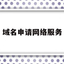 域名申请网络服务(域名申请都需要做什么)