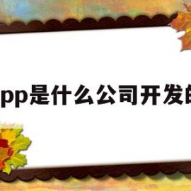 app是什么公司开发的(app是什么公司开发的游戏)