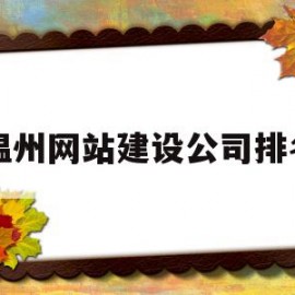 温州网站建设公司排名的简单介绍