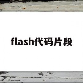 flash代码片段(flash代码片段在哪里)