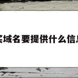 买域名要提供什么信息(买域名要提供什么信息资料)