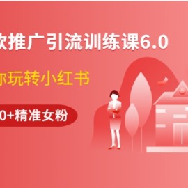 小红书爆款推广引流训练课6.0，手把手带你玩转小红书，实操一天50+精准女粉