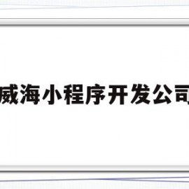 威海小程序开发公司(威海小程序开发公司排名)