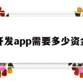 开发app需要多少资金(制作软件app需要多少钱)