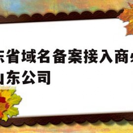 山东省域名备案接入商必须是山东公司(山东域名备案注销)