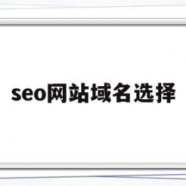 seo网站域名选择(seo网站快速整站优化技术)