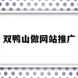 双鸭山做网站推广(双鸭山市人力资源官网)