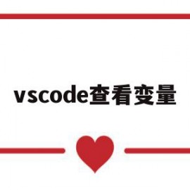 vscode查看变量(vscode查看变量大小)