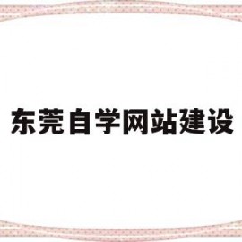 东莞自学网站建设(东莞自学考试网官网)