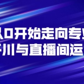 从0开始走向专业《千川与直播间运营》93节视频课程