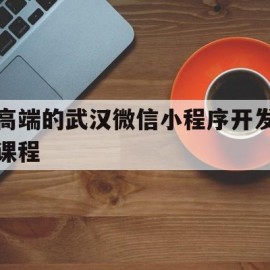 高端的武汉微信小程序开发课程(武汉微信小程序开发公司哪家好?)