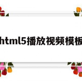 html5播放视频模板(html5播放分片视频)