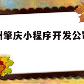 广州肇庆小程序开发公司前十(广州小程序开发公司最新招聘信息)