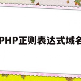 PHP正则表达式域名(php正则表达式域名怎么表示)