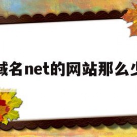 域名net的网站那么少(域名中的net)