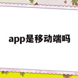 app是移动端吗(app属于移动电子商务吗)