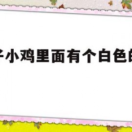 儿子小鸡里面有个白色的颗粒(儿子小鸡里面有个白色的颗粒是什么)