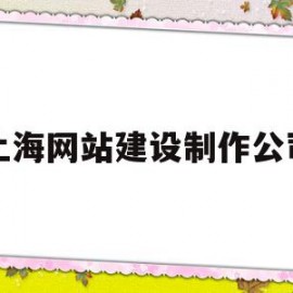 上海网站建设制作公司(郑州高新区网站建设制作公司)