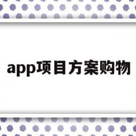 app项目方案购物(app方案的项目可行性)