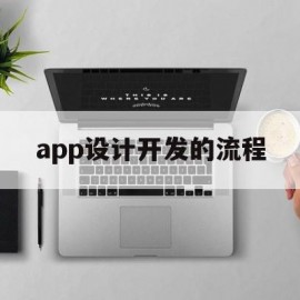 app设计开发的流程(设计开发app项目的步骤)