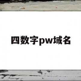 四数字pw域名(4位数字域名还值钱吗)