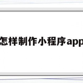 怎样制作小程序app(怎样制作小程序软件微信)