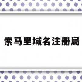 索马里域名注册局的简单介绍