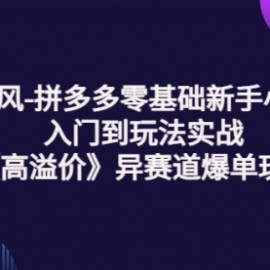 逸风-拼多多零基础新手小白入门到玩法实战《高溢价》异赛道爆单玩法实操课