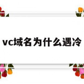 vc域名为什么遇冷(为什么域名都是com)