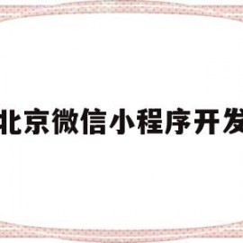 北京微信小程序开发(北京微信小程序开发平台)