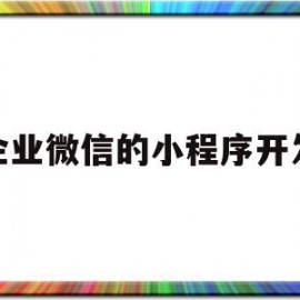 企业微信的小程序开发(企业微信小程序开发下载文件)