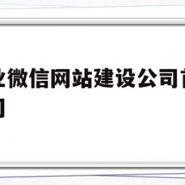 专业微信网站建设公司首选公司(微信开发 网站建设小程序公众号)