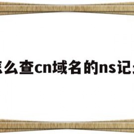 关于怎么查cn域名的ns记录的信息